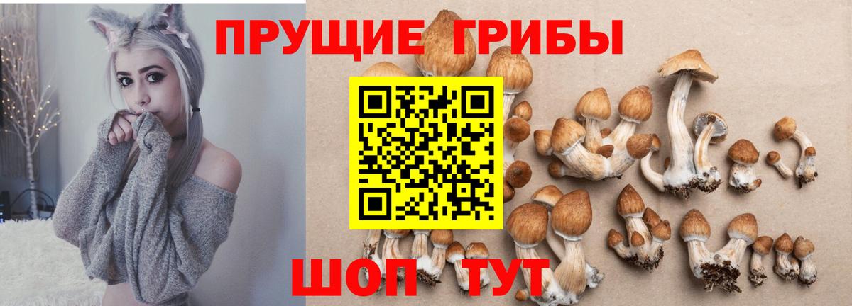 Псилоцибиновые грибы Cubensis  Вход с VPN  где продают наркотики  Елец 